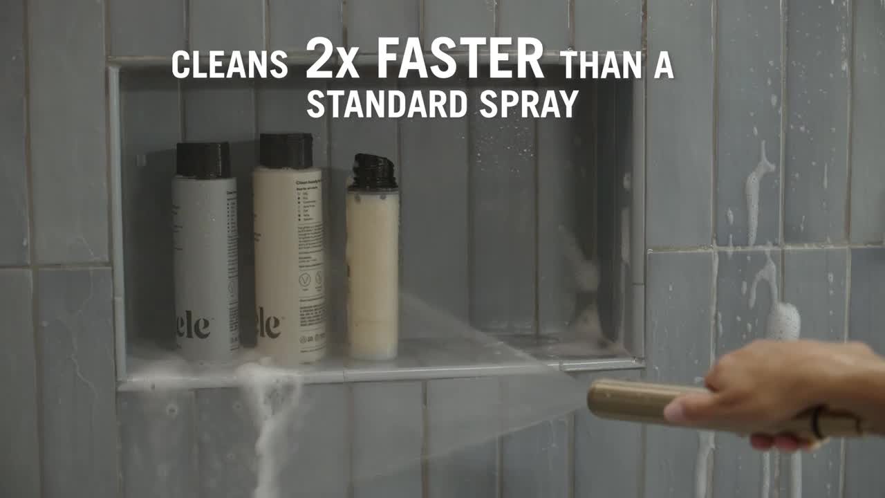 Delta Bonacci ProClean 2-Spray Wall Mount Handheld Shower Head
