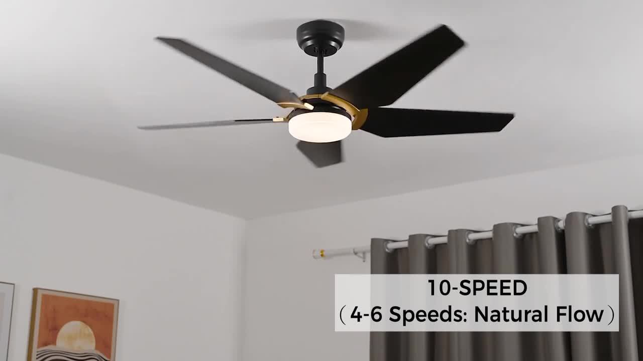 CARRO Voyager 52 in. Dimmable LED Indoor/Outdoor Black Smart