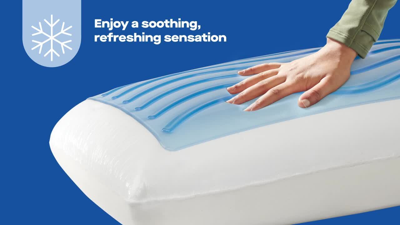 Reviews for Sealy Dreamlife Gel Memory Foam Standard Pillow Pg