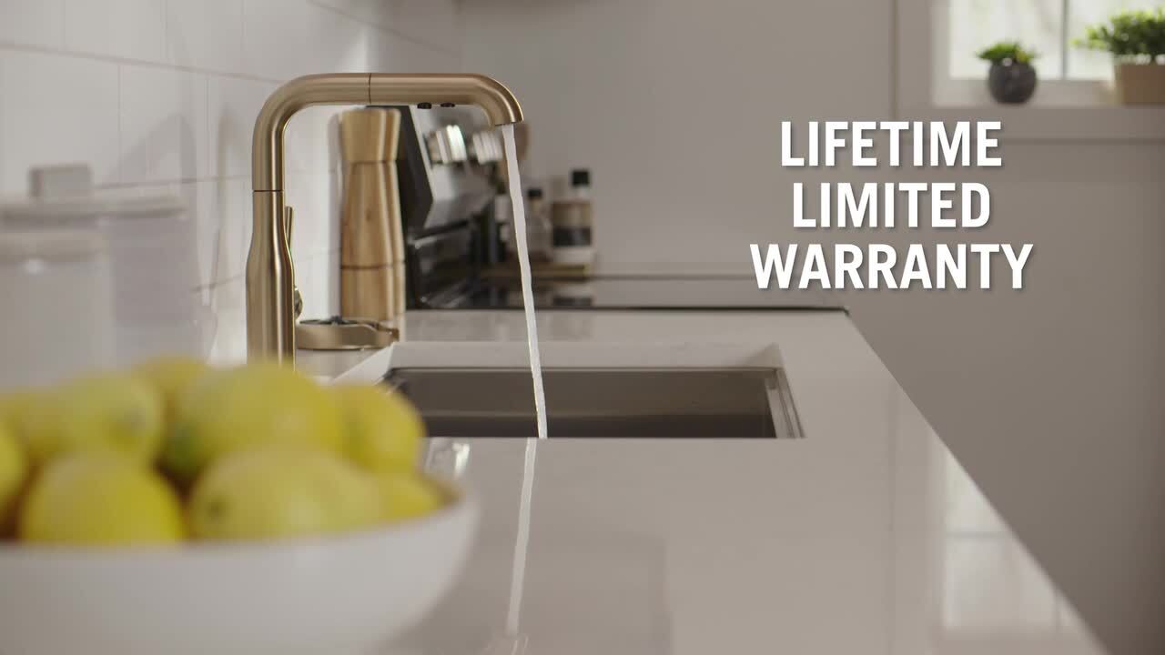 Delta Almari Gold Single Handle Pull Out Sprayer Kitchen Faucet