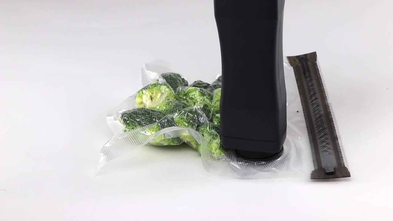 FoodSaver Reusable Gallon Vacuum Zipper Bags, for Use with FoodSaver  Handheld Vacuum Sealers, 8 Count