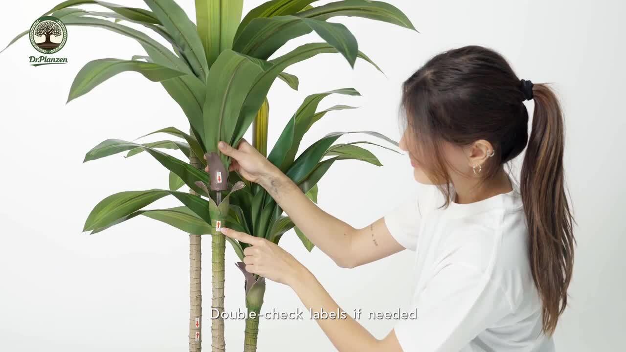 DR.Planzen 6 ft. Artificial Dracaena Tree with Coffee Planter