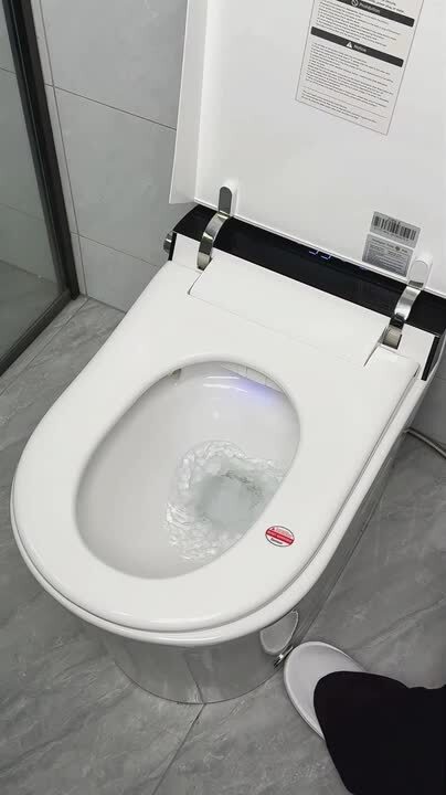 LORDEAR 1.27 GPF Tankless Elongated Smart Bidet Toilet with Auto Open/Close Lid in White