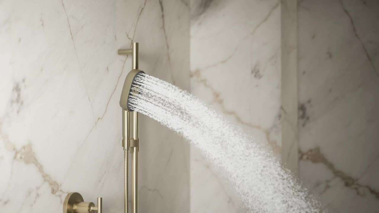 KOHLER Statement Oblong 3-Spray Patterns Wall Mount Handheld
