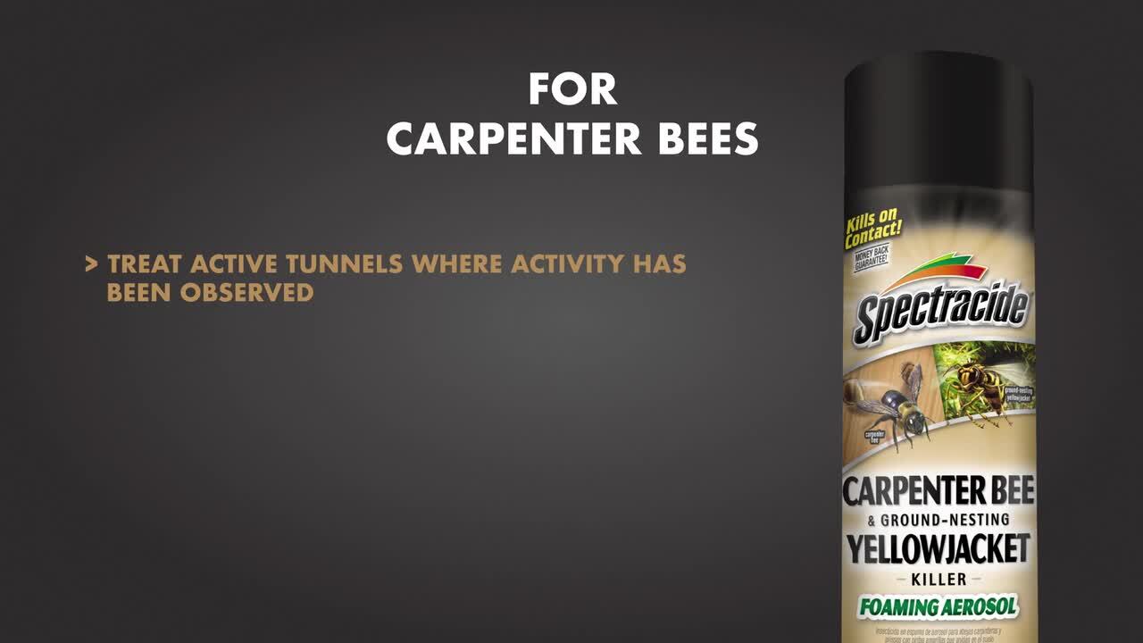 Spectracide 16 Aerosol Carpenter Bee and Ground-Nesting Yellow
