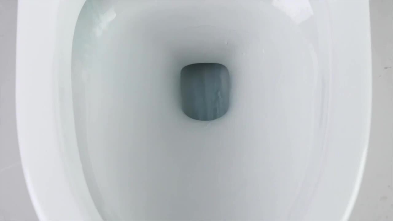 Casta Diva Elongated Smart Bidet Toilet 1.28 GPF White