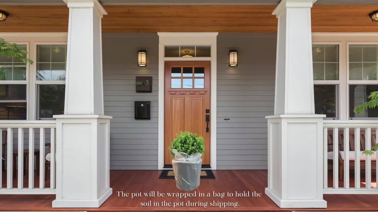 PROVEN WINNERS 1 Gal. Neatball Boxwood Shrub 18217 - The Home Depot