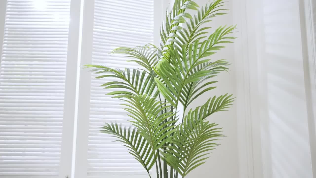 Vitalismo 5 ft Artificial Palm Tree White Pot with Real Bark
