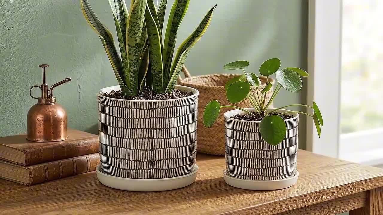 Liv & Skye 6 in. and 8 in. Ivory Ceramic Line Modern Decorative