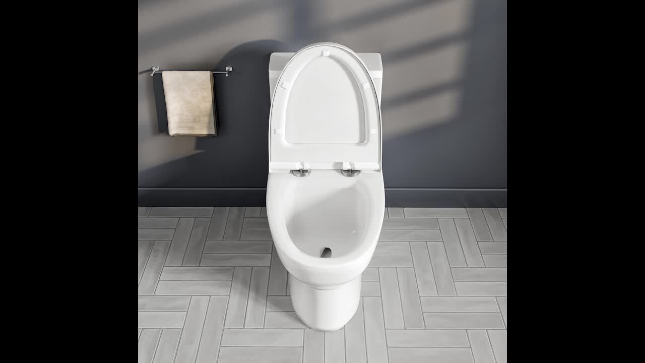 1-Piece Dual Flush 1.2 GPF/0.8 GPF Elongated High Efficiency Skirted Toilet All-in-One Toilet in White Seat Included 1-Piece Dual Flush 1.2 GPF/0.8 GPF Elongated High Efficiency Skirted Toilet All-in-One Toilet in White Seat Included
