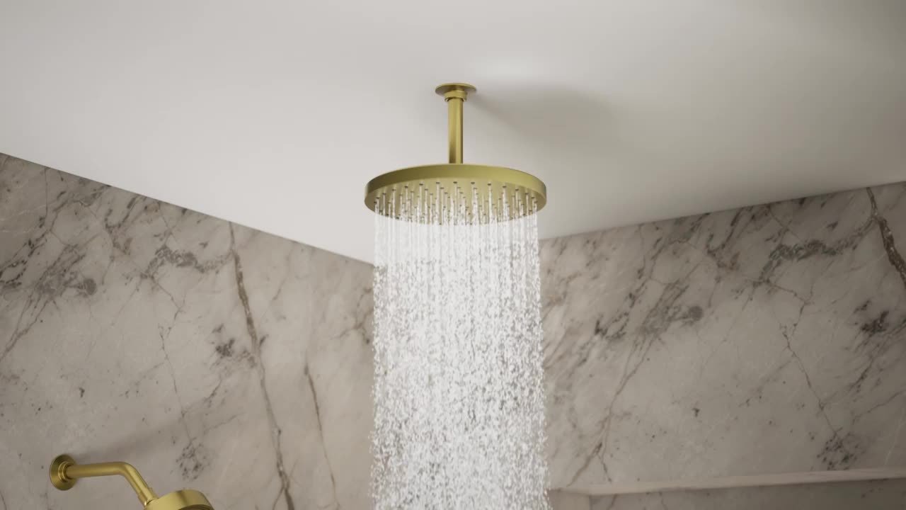 KOHLER Awaken 1-Spray Patterns 1.75 GPM 10 in. Ceiling Mount Fixed