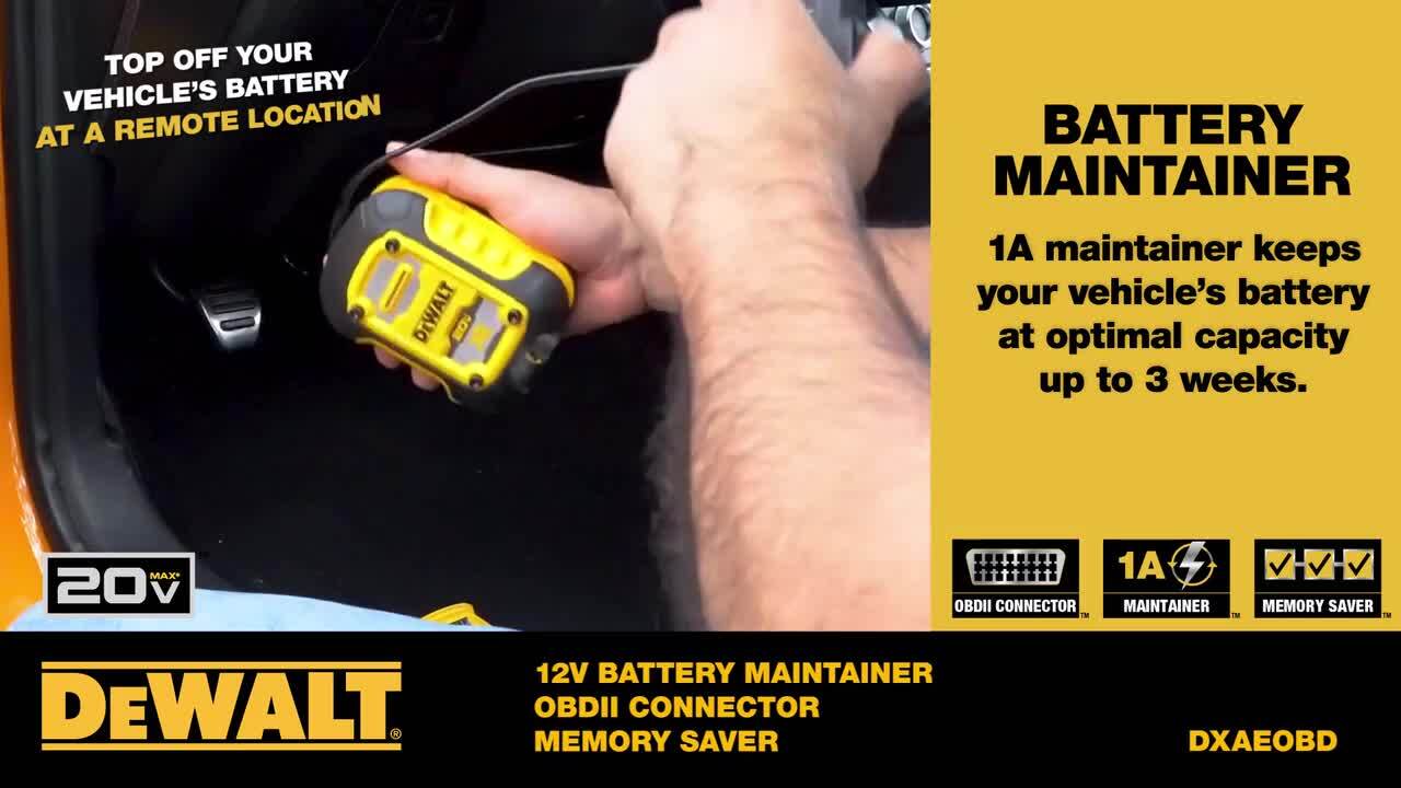 Best off best sale brand dewalt battery