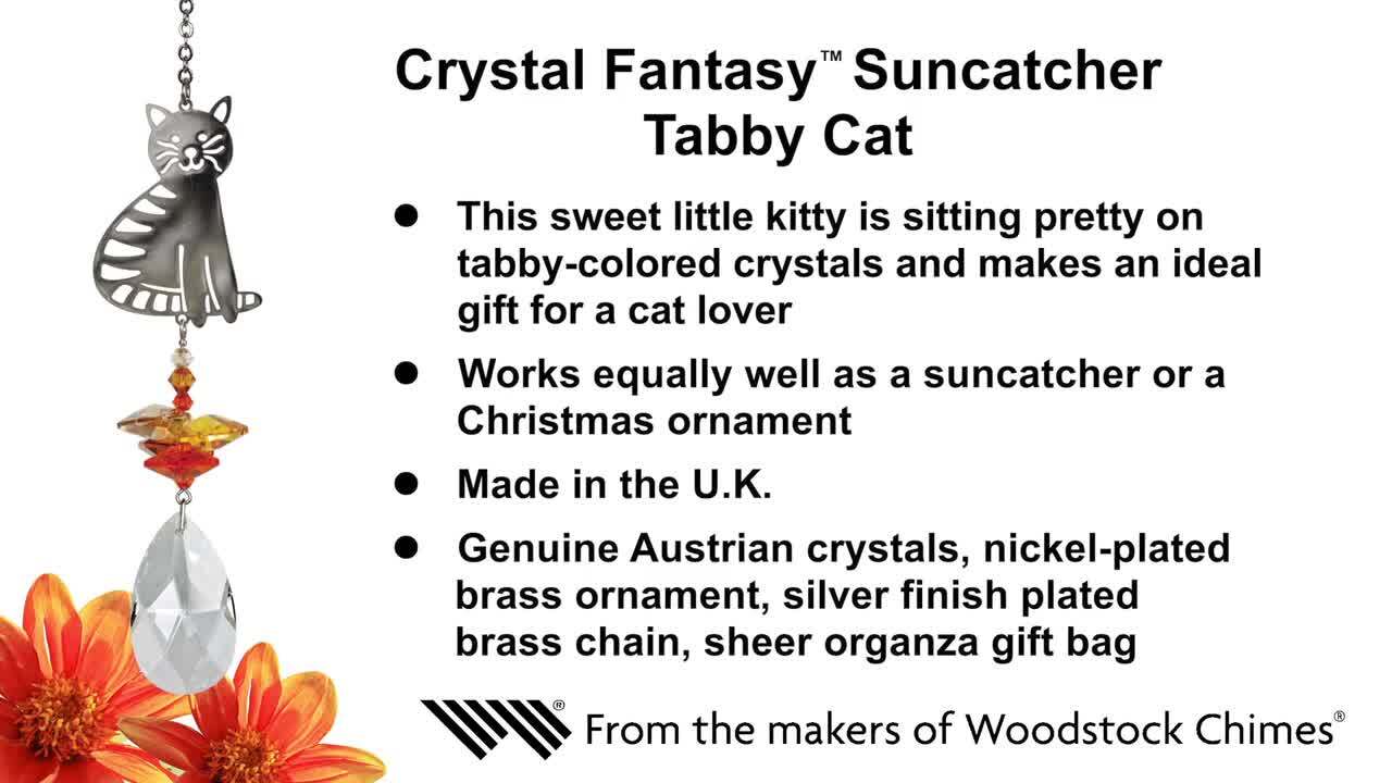 Tabby cat crystal suncatcher Tabby cat crystal suncatcher