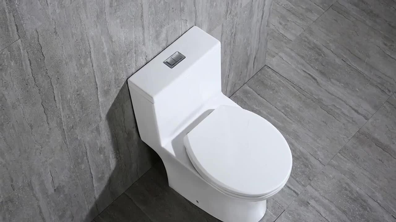 Conserver 1-Piece 1.28 GPF High Efficiency Dual Flush Elongated All-in-One Toilet in White with Seat Included Conserver 1-Piece 1.28 GPF High Efficiency Dual Flush Elongated All-in-One Toilet in White with Seat Included