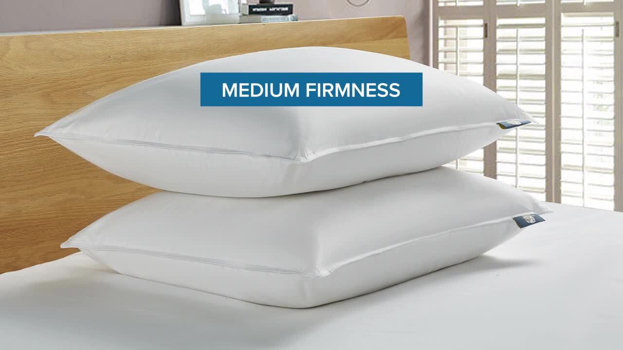 FluffCo Down & Feather Pillow - Standard - Firm - White