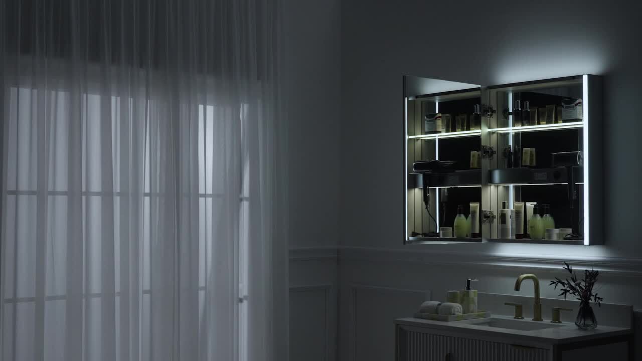 WELLFOR Chic 20 in. W x 30 in. H Rectangular Aluminum Medicine Cabinet with Mirror, LED Lights, Anti-Fog, Left Soft Close Door