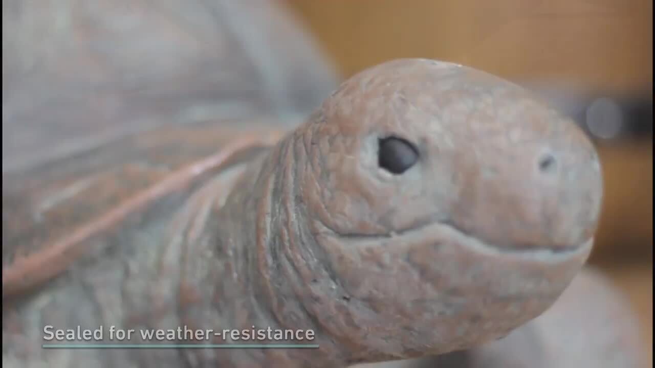 Tortoise タートス Standards Sunnydaze Talia the Tortoise Indoor/Outdoor Lawn and Garden Statue