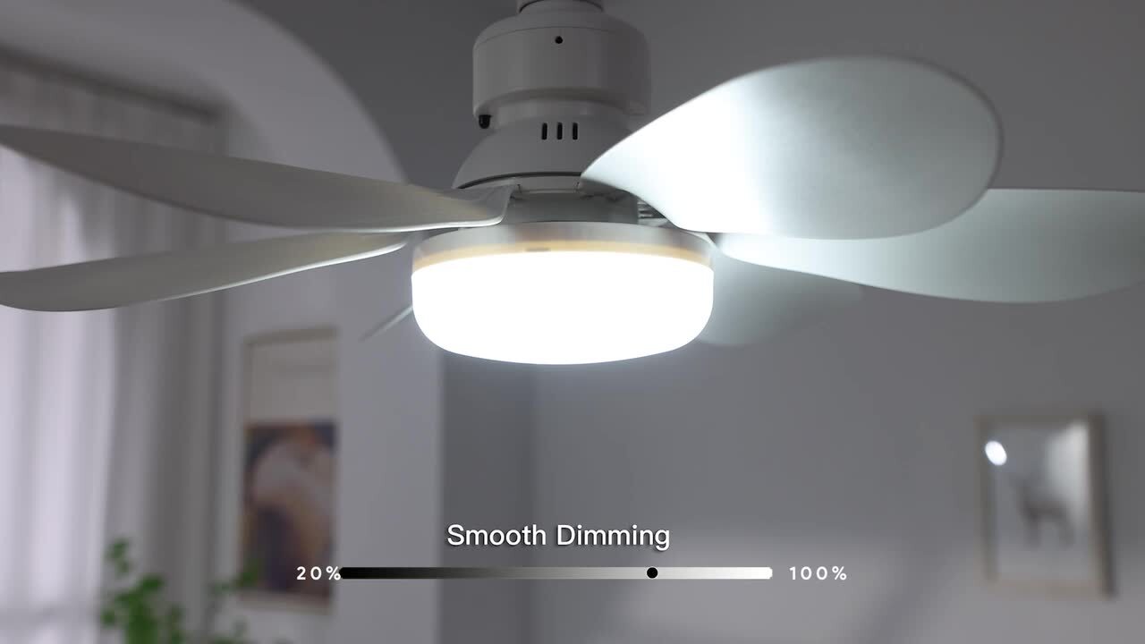 CACI Mall 20 in. Indoor White Standard Socket Ceiling Fan with LED