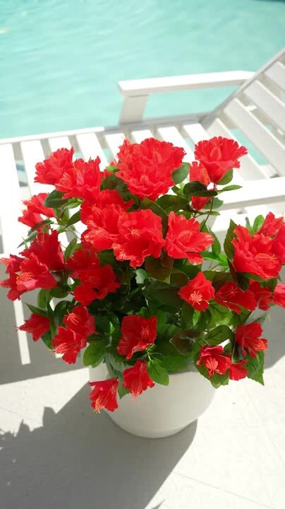 Nearly Natural 13 in. Pink UV Resistant Artificial Daisy Bush