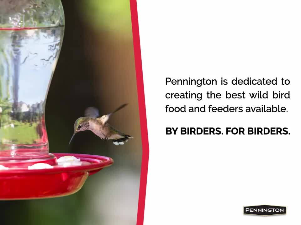 Pennington Wild Bird Food With Cherry Flavor (50 Pounds) 