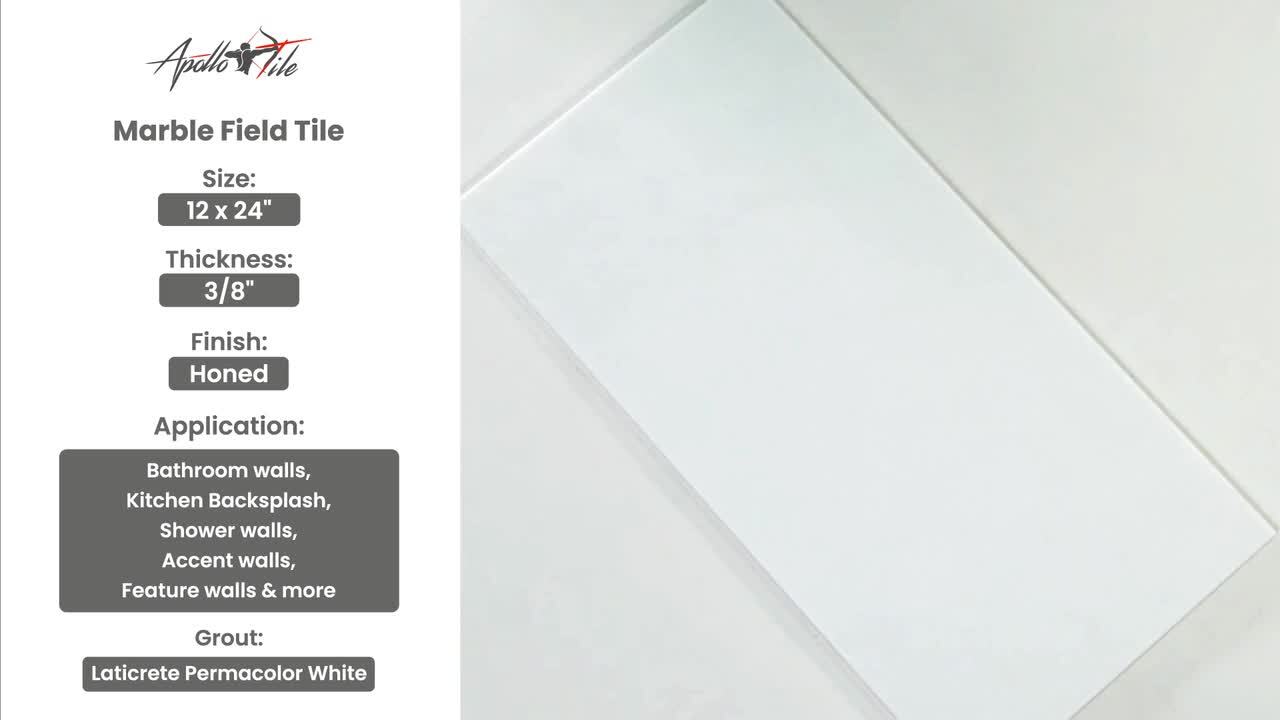 Emser Kalta 5-Pack Bianco 12-in x 24-in Polished Natural Stone Stone Look Floor and Wall Tile