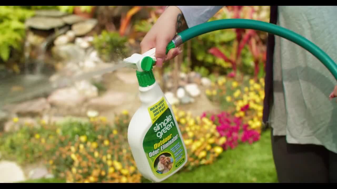 Outdoor dog odor outlet eliminator