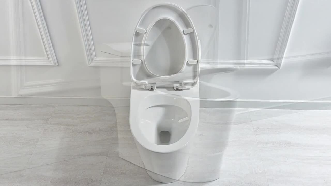 Conserver 1-Piece 1.28 GPF High Efficiency Dual Flush Elongated All-in-One Toilet in White with Seat Included Conserver 1-Piece 1.28 GPF High Efficiency Dual Flush Elongated All-in-One Toilet in White with Seat Included