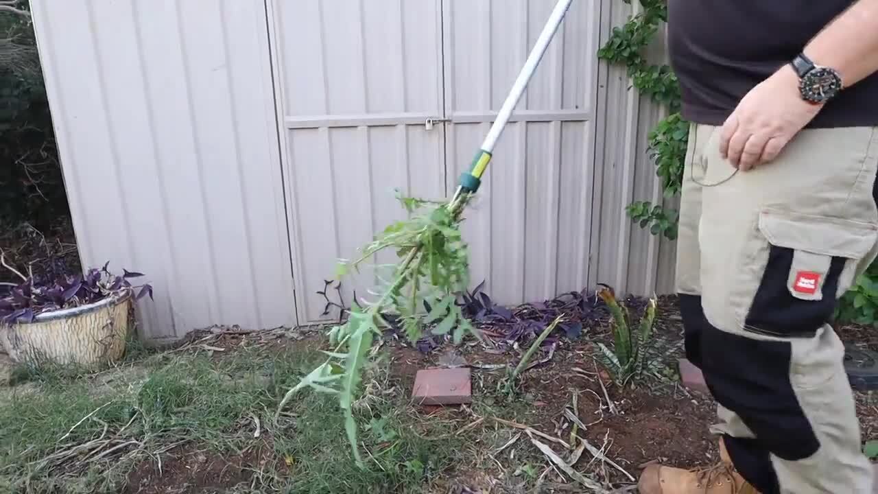 Long Handled Weed Remover - Aluminium No Bend Garden Lawn Weeding