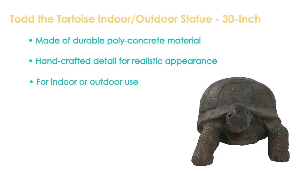Sunnydaze 30 in. Todd the Tortoise Indoor-Outdoor Lawn and