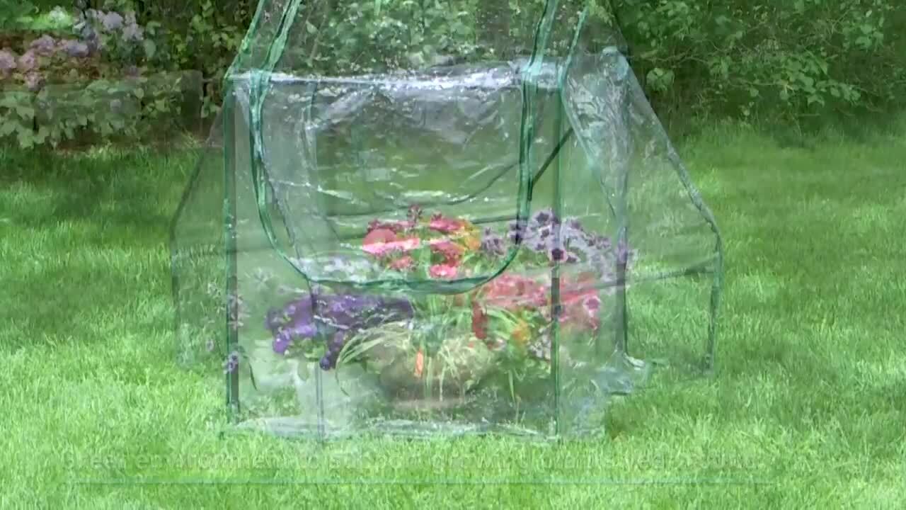 Sunnydaze 2 ft. x 2 ft. x 3 ft. - Steel and PVC - Clear - Mini Greenhouse