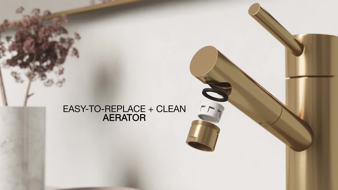 新品　INSTATBEAUTY ナノウォーターガン ゴールド VIGO Noma Single Handle Single-Hole Bathroom Faucet in Brushed