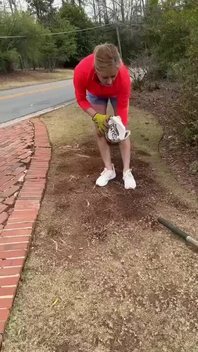 Pennington 5 lbs. Smart Patch Zoysia Grass Seed with Mulch