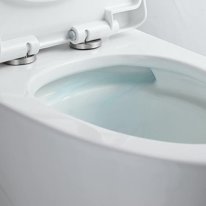 Abruzzo One-Piece Toilet 1.1 GPF/1.6 GPF Dual Flush Elongated Toilet with Soft Closing Seat in Glossy White