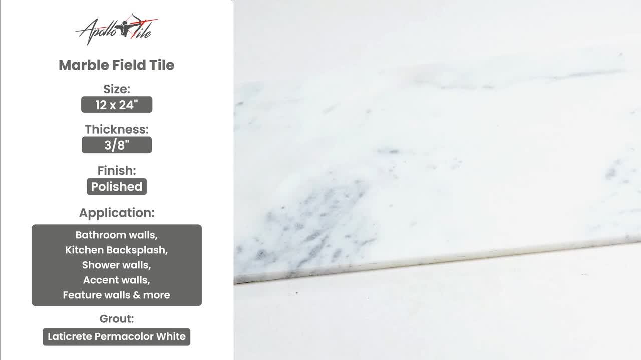 Emser Kalta 5-Pack Bianco 12-in x 24-in Polished Natural Stone Stone Look Floor and Wall Tile