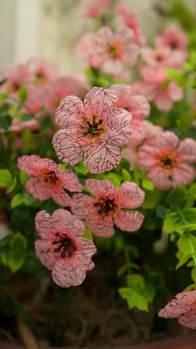 Nearly Natural 19 in. UV Resistant Artificial Hibiscus Bush