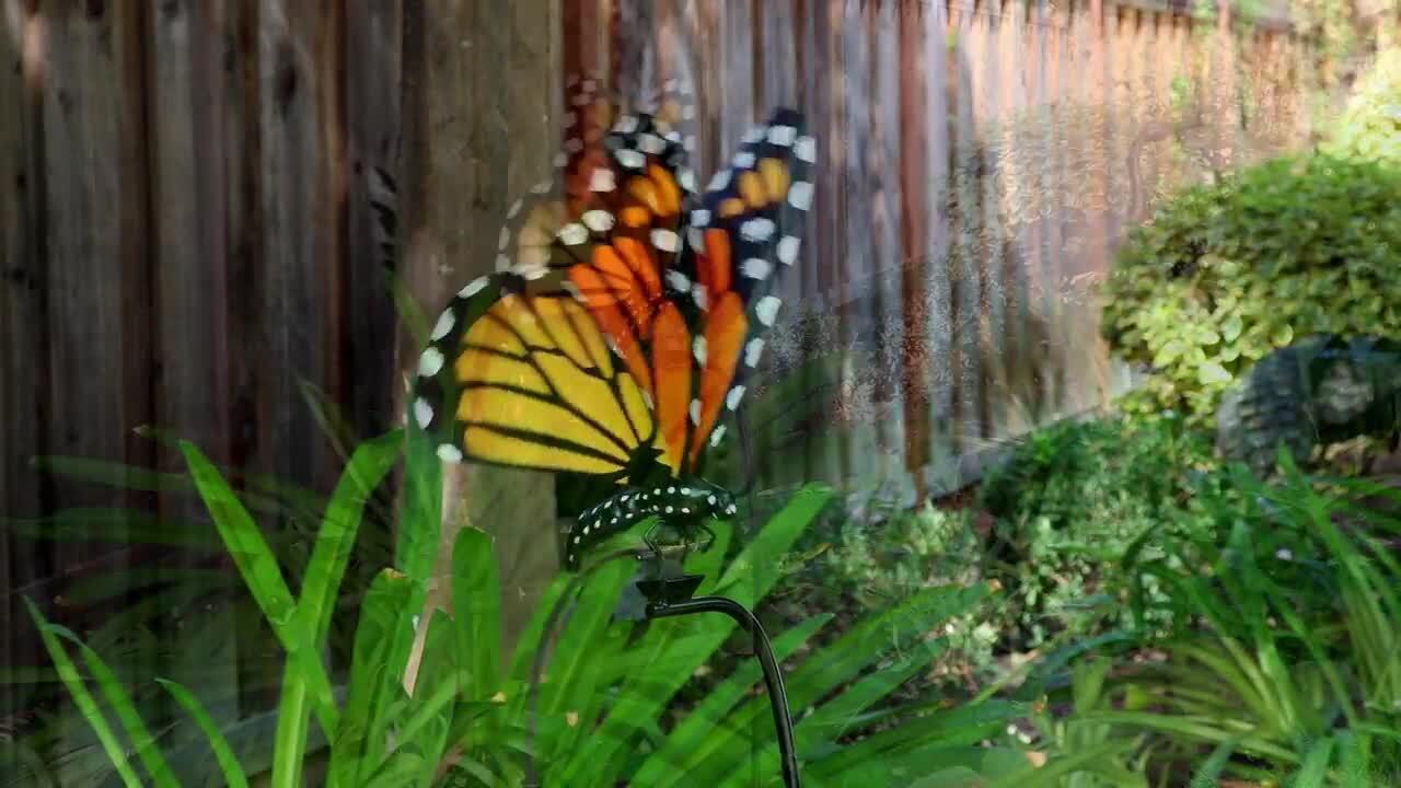 Flight of the Monarch Paint Kit