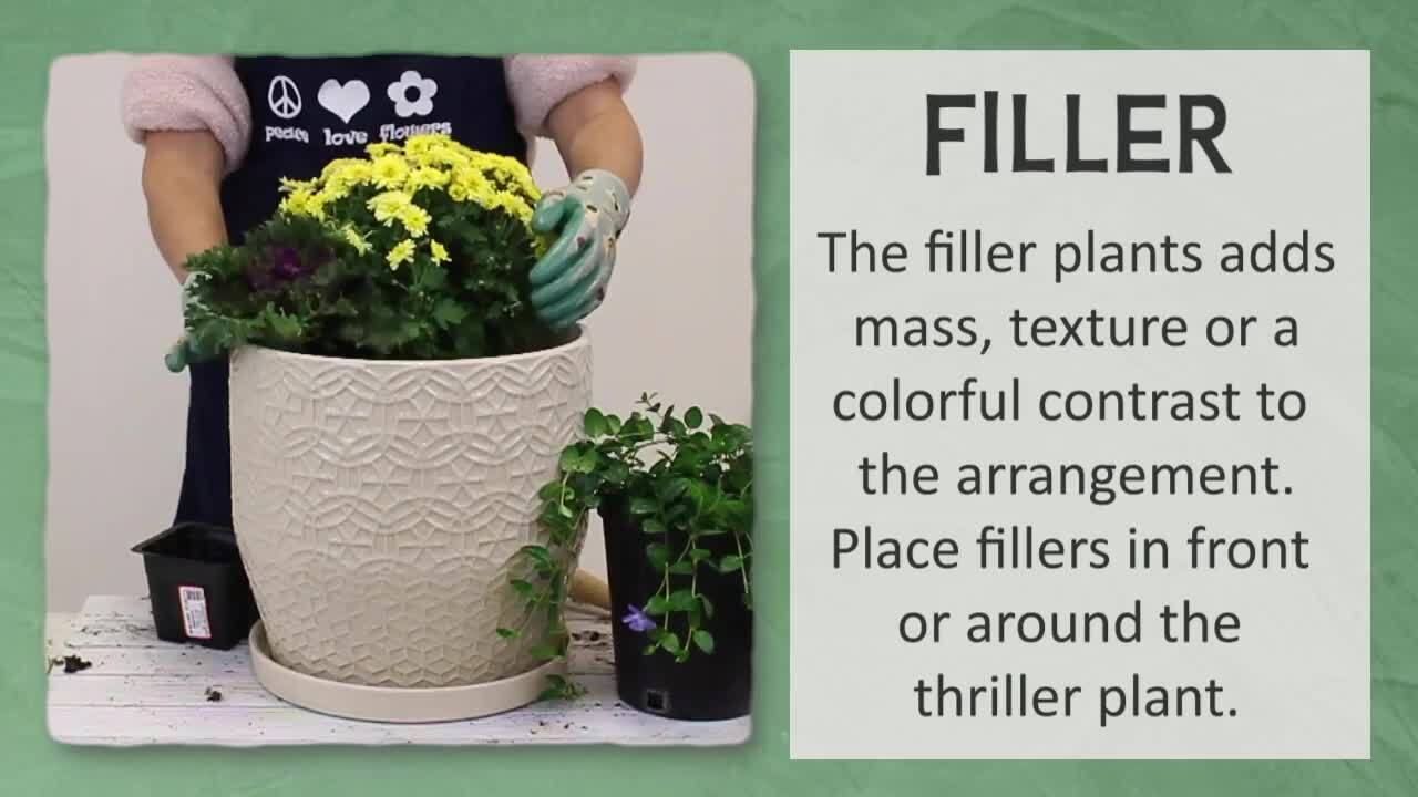 Vigoro Osborn Medium Gray Plastic Round Planter with Knockout