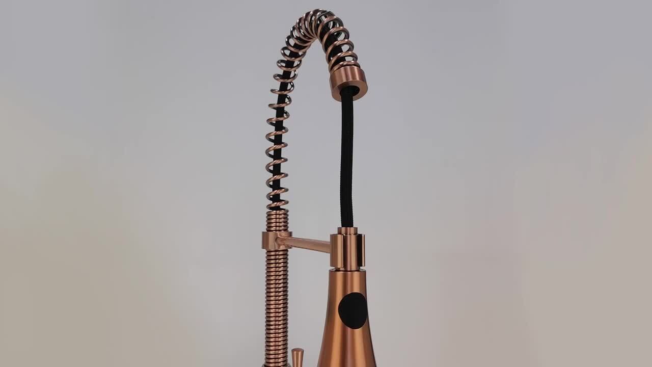 Akicon Single-Handle Pull-Down Sprayer Kitchen Faucet with Hi-Arc