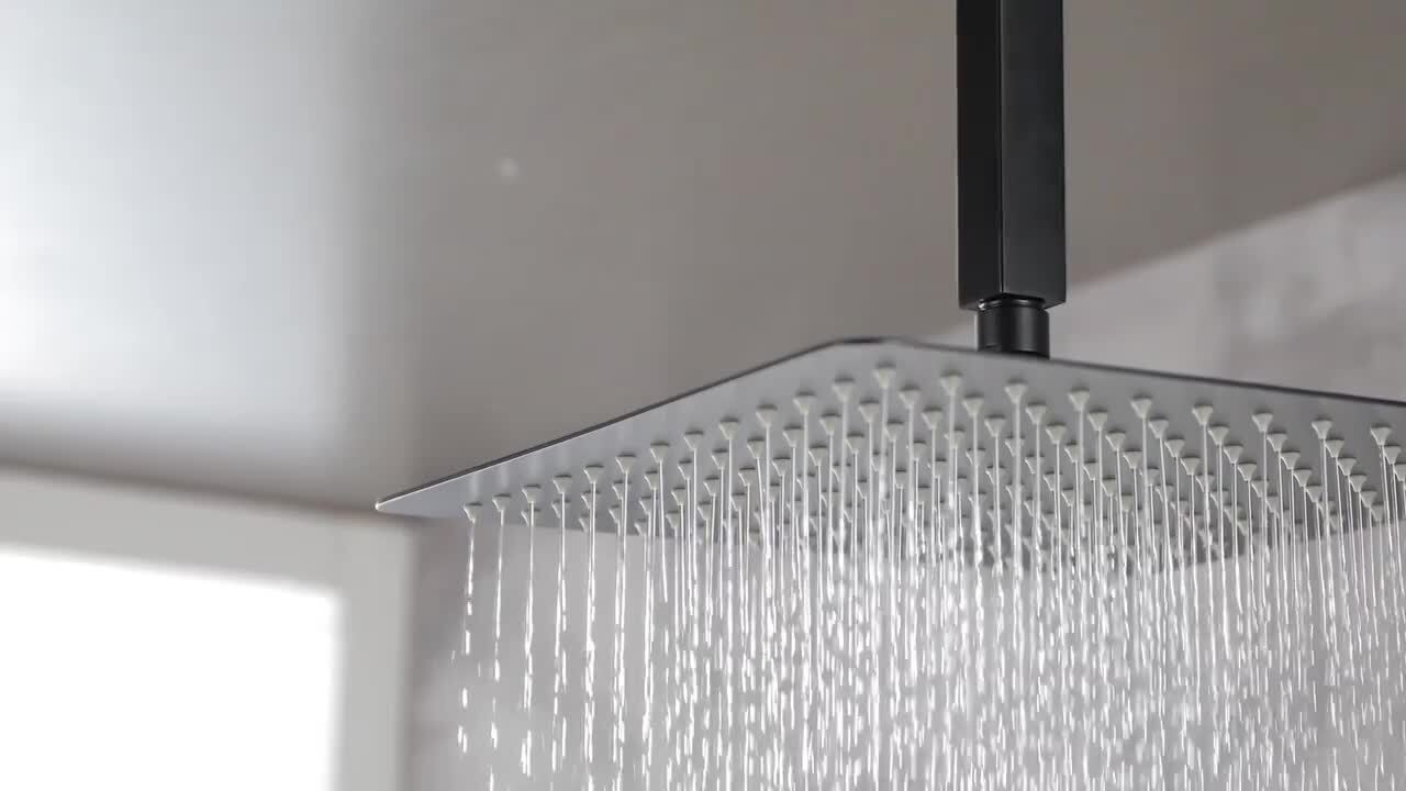 3-Spray with 2.5 GPM 12 in. 2 Functions Tub Ceiling Mount Dual Shower Heads in Spot in Matte Black (Valve Included) 3-Spray with 2.5 GPM 12 in. 2 Functions Tub Ceiling Mount Dual Shower Heads in Spot in Matte Black (Valve Included)