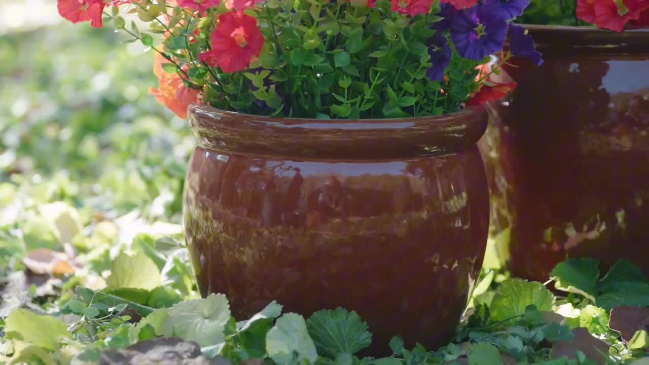 GOGEXX Set of 3, Handmade Rust Red 11.6 in. H Round Ceramic Plant Pots,  with Drainage Hole, Indoor Outdoor Flower Planters cyq-ps-black2