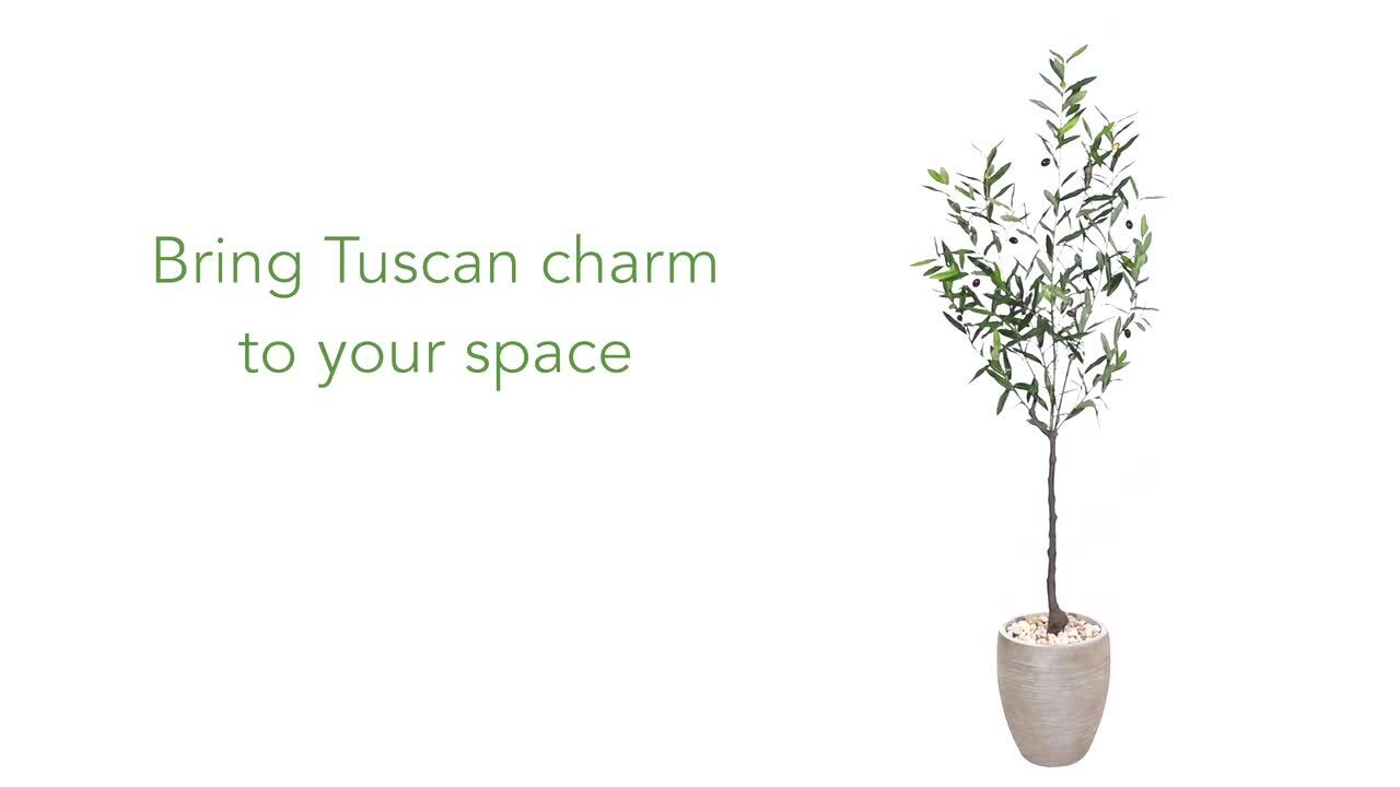 5.5-ft Olive Artificial Tree in Sand Colored Planter, 1 - Ralphs