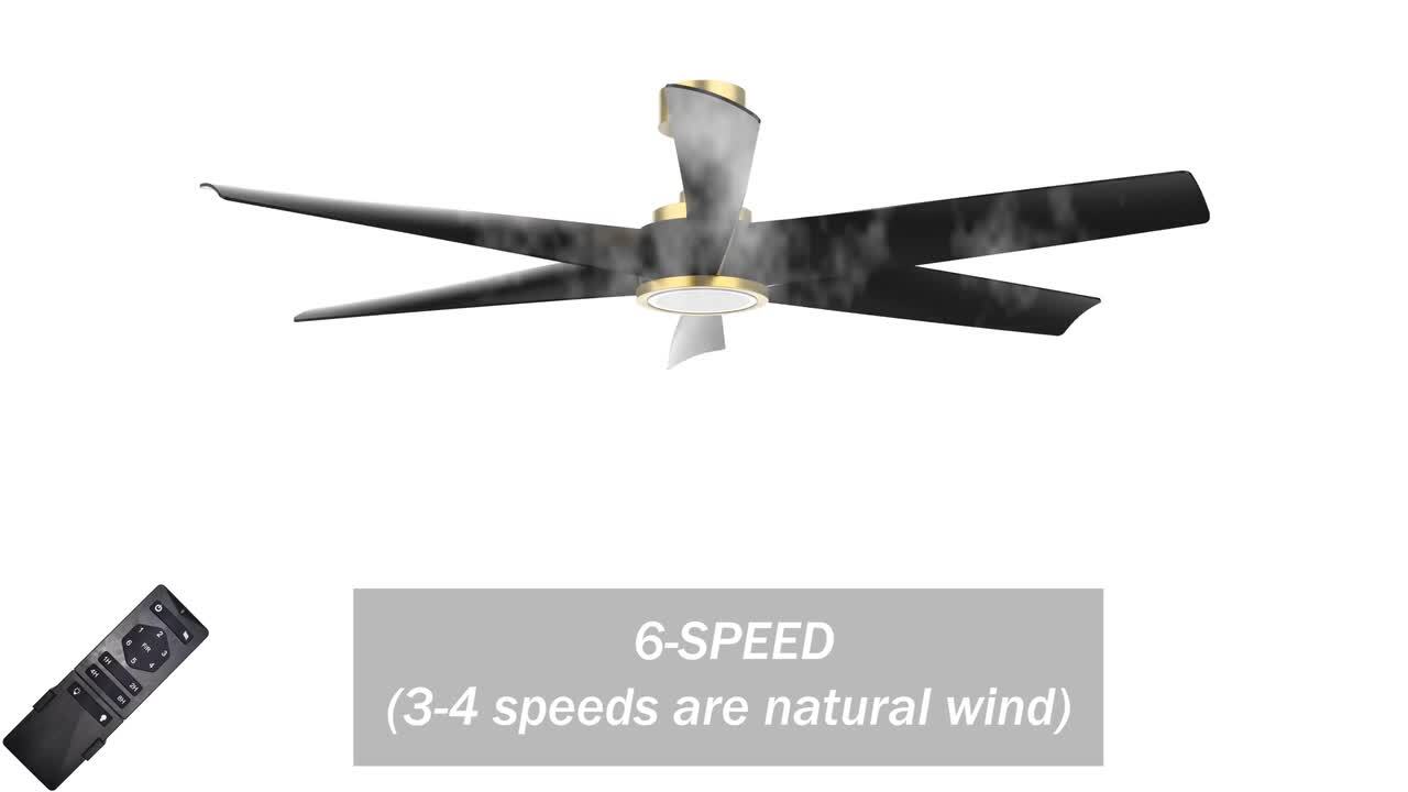 Breezary Hector II 52 in. Covered Outdoor Standard Black Flush