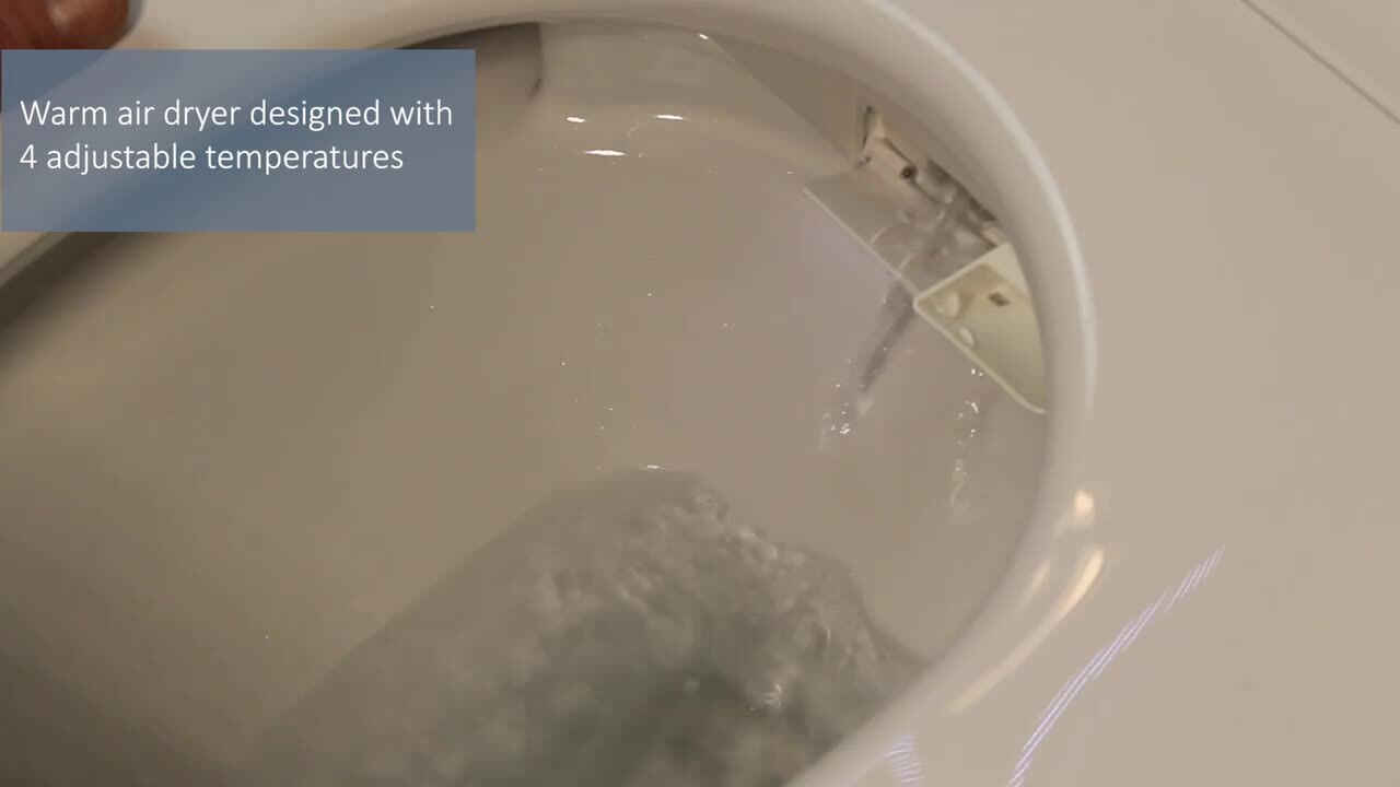 Transolid Rosemary 1-Piece Dual Flush Elongated Smart Toilet Bidet