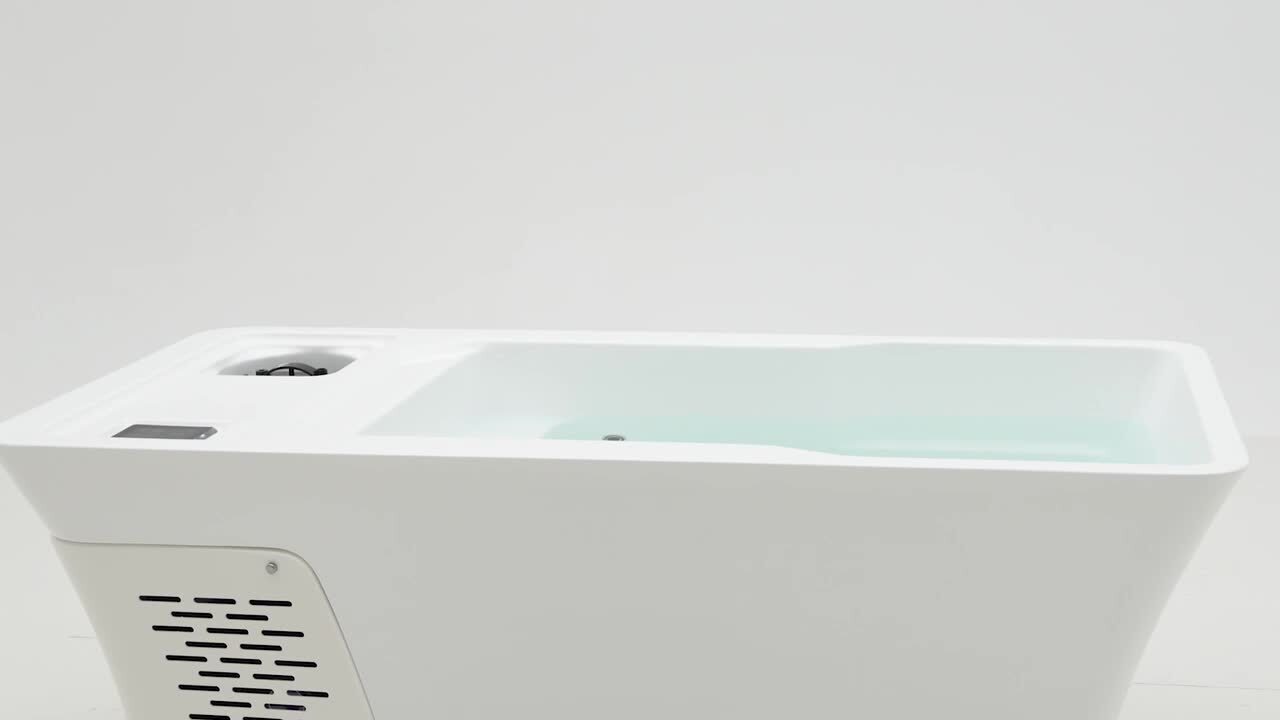 LIFETREND - Snowbird 1-Person, 0 Jet, 110-Volt, Cold Plunge, with Chiller and Heater, Built in UV Ozonator, Includes Cover and Steps