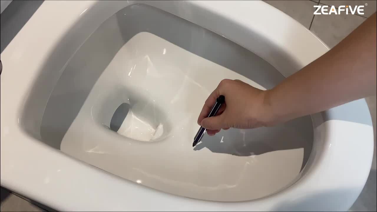 Zeafive Top 1-Piece Toilet 1.1/1.6 GPF Dual Flush Compact