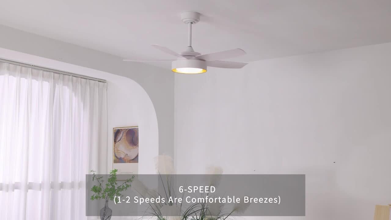 Sofucor 42 in. Indoor Modern 5 ABS Blade White Downrod Ceiling Fan