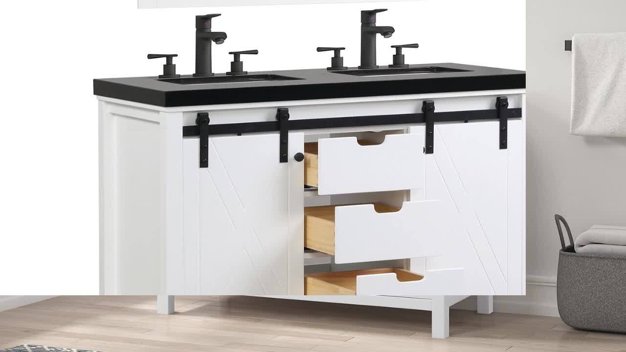 Eviva Dallas 48 in. W x 22 in. D x 34 in. H Double Bath Vanity in White with Black Granite Top with Black Sinks