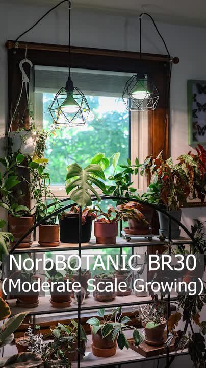 ELECWISH NorbBOTANIC 9W Equivalent A19 3100K White Plant Grow
