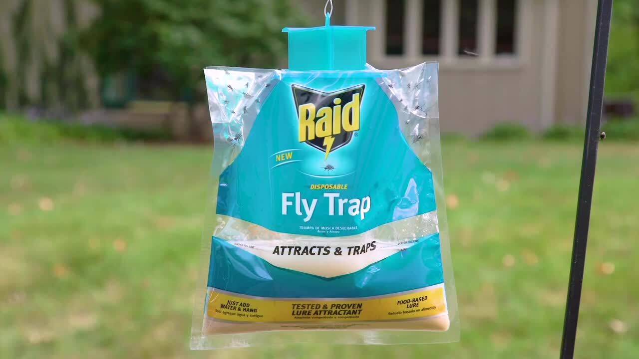 Raid Disposable Fly Trap FLYBAG-RAID - The Home Depot