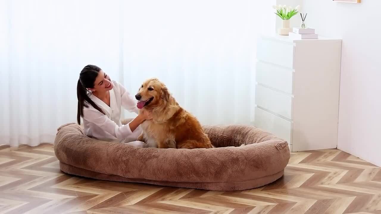 Elevated Indoor/Outdoor Dog Bed with Foam Mattress - Modern Style